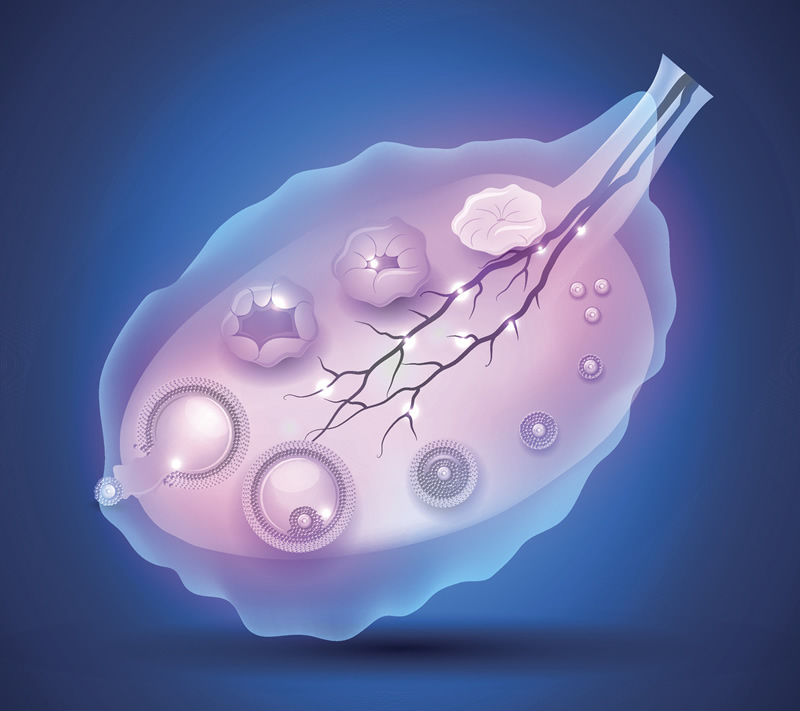 广东东莞助孕机构怎么选？2026私立试管成功率排名及费用差异解读!